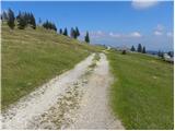 Za Ušivcem - Gradišče (Velika planina)